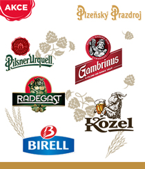 banner pu 210x245